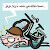 Willem